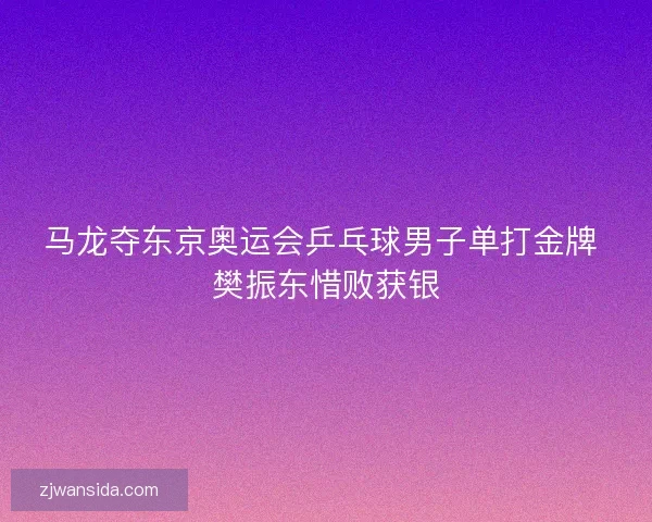 马龙夺东京奥运会乒乓球男子单打金牌 樊振东惜败获银